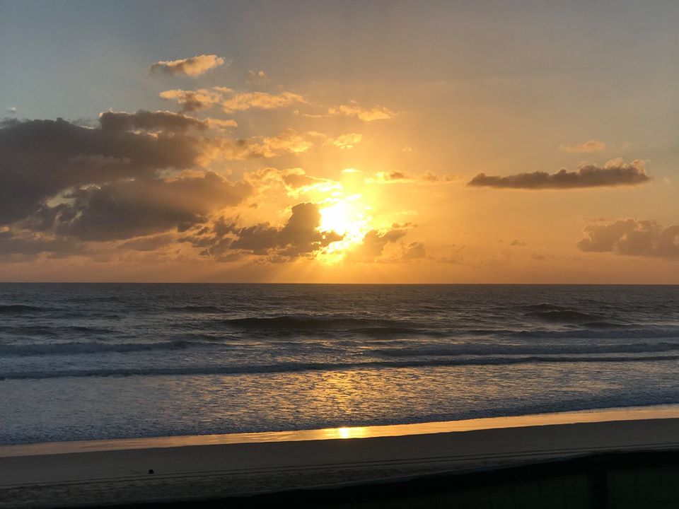 50610844_10214203574864858_3510624616127135744_o