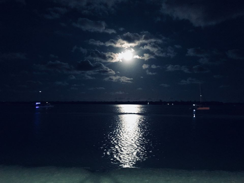 54211733_10214606585179864_3184745699119988736_o